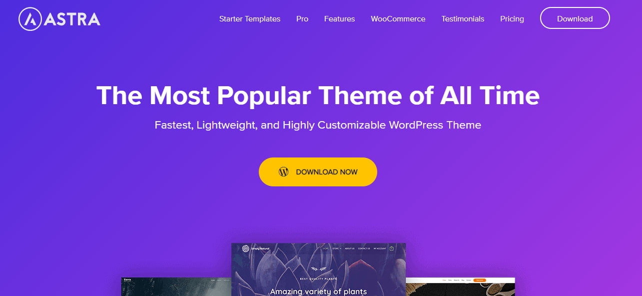 Best Free WordPress Themes