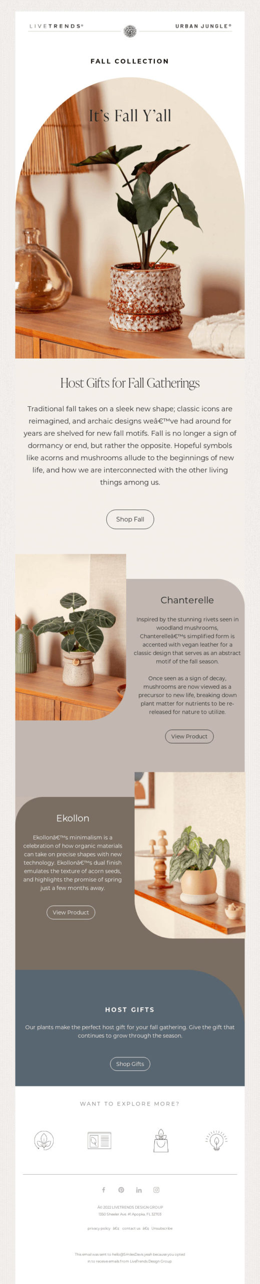 Elevate Your September Newsletters: Creative Ideas and Inspirations for WordPress Designers